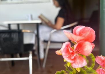 Appartement 2/3 personnes