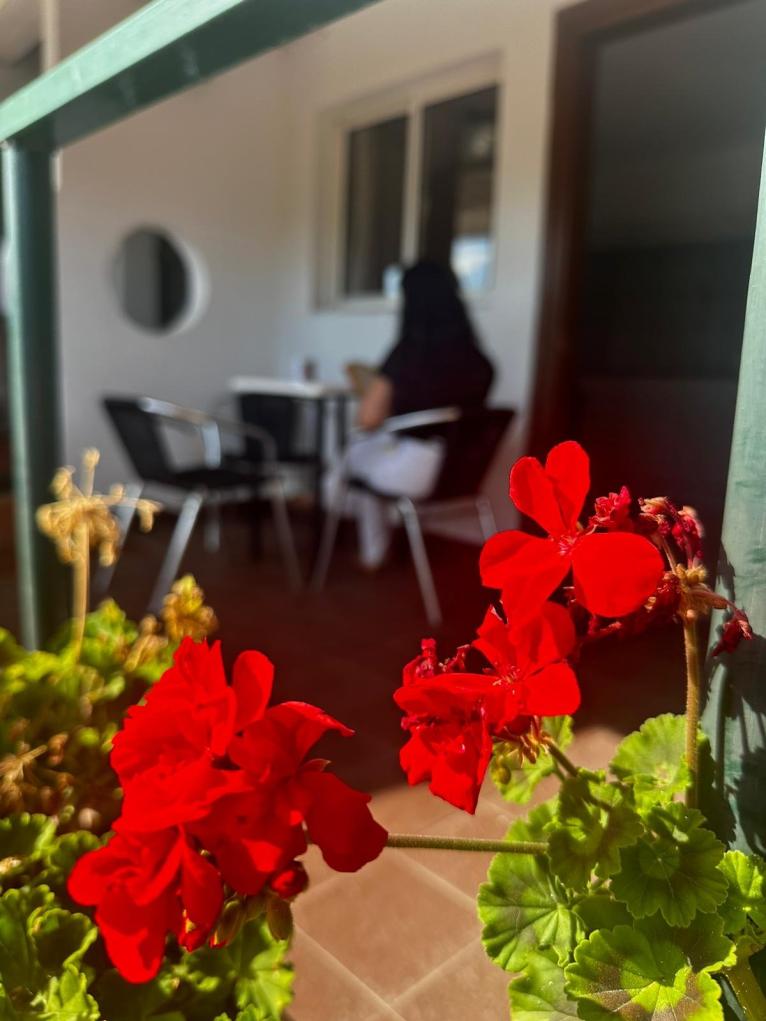 Apartamento 2/3 personas