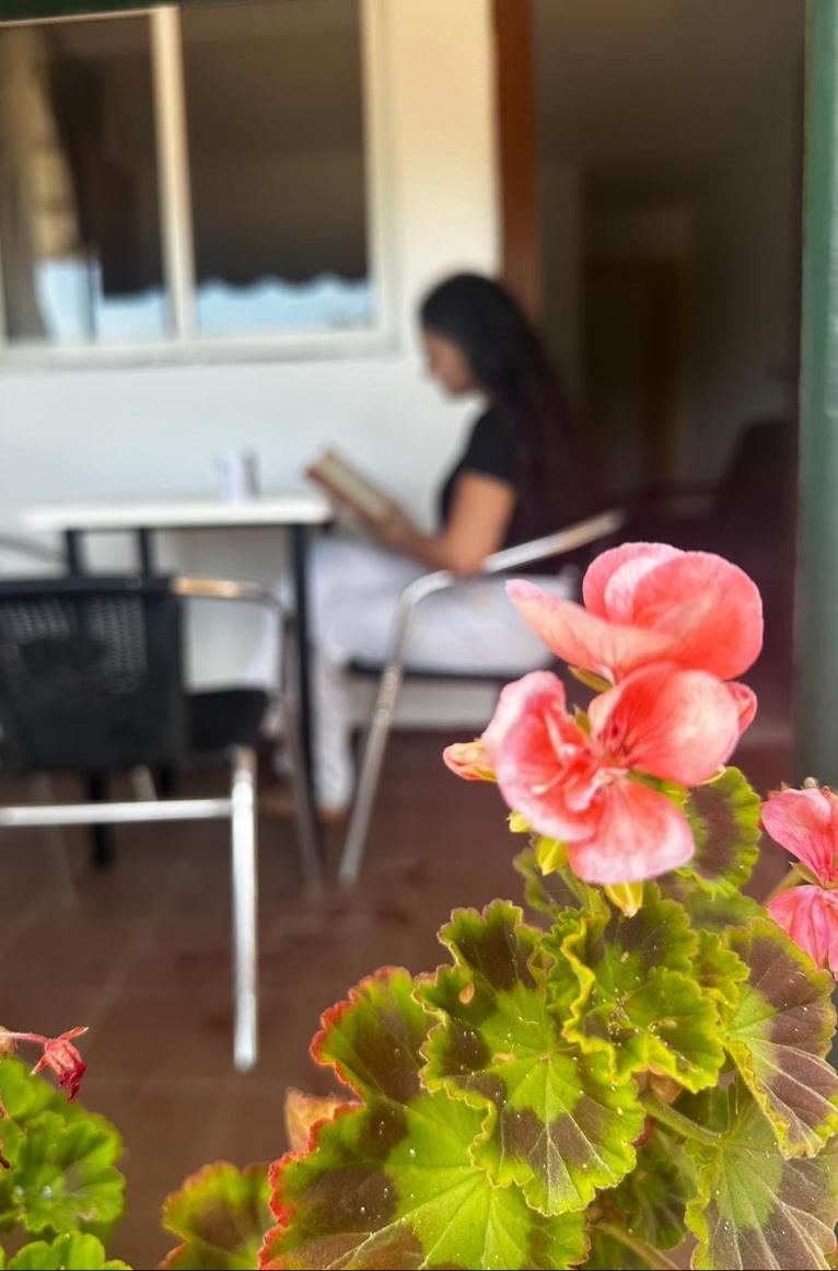 Apartament 2/3 persones