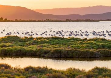 Delta del Ebro