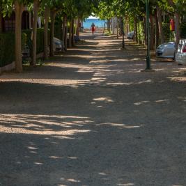 Calles del Camping Playa y Fiesta Costa Dorada