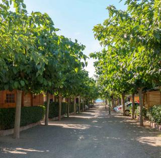 Calle del Camping Playa y Fiesta Miami Playa Costa Dorada