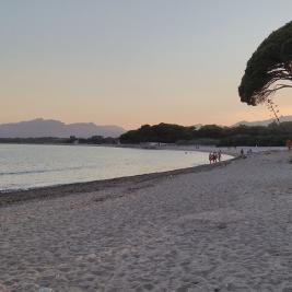 Playa frente el Camping Playa y Fiesta Costa Dorada