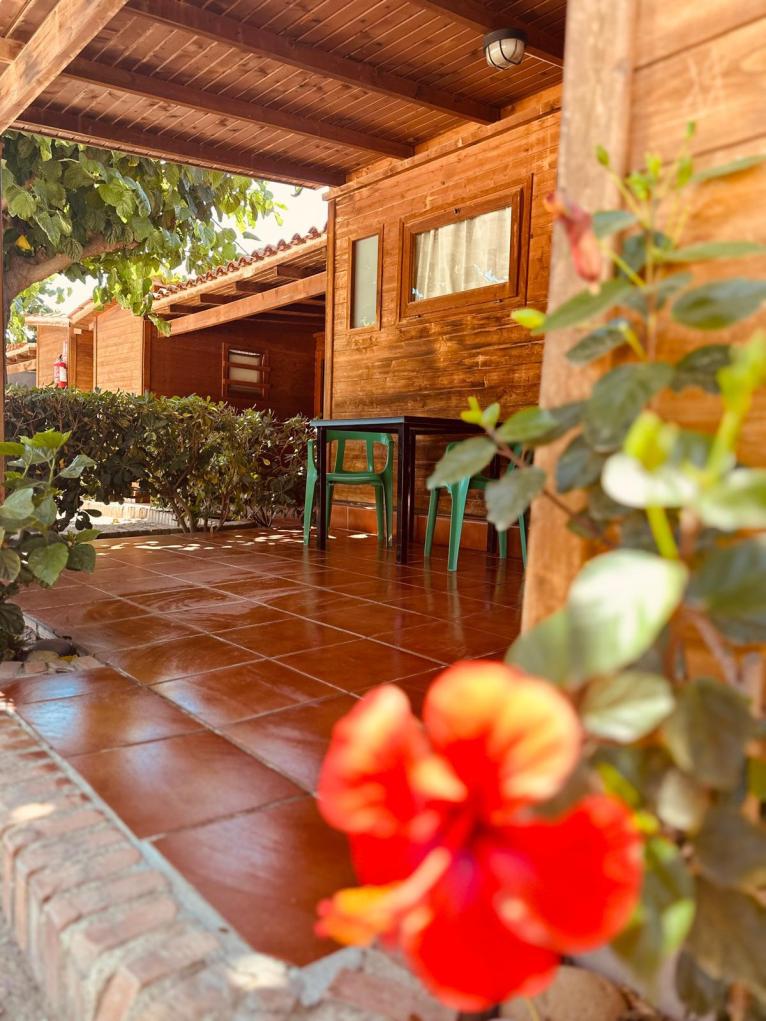 Wooden bungalow 4/5 people